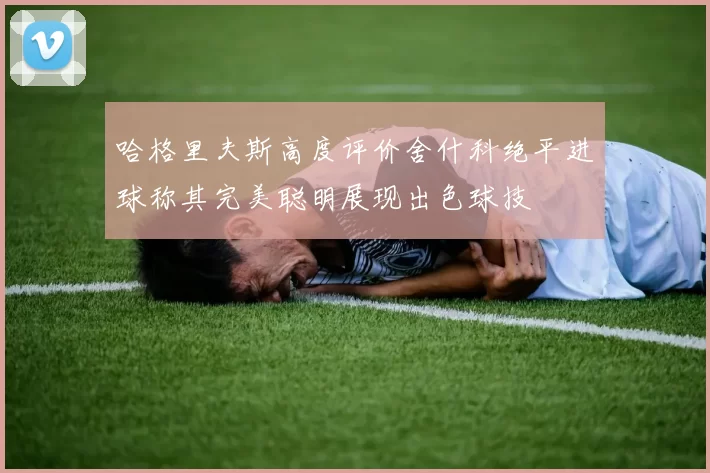 哈格里夫斯高度评价舍什科绝平进球称其完美聪明展现出色球技