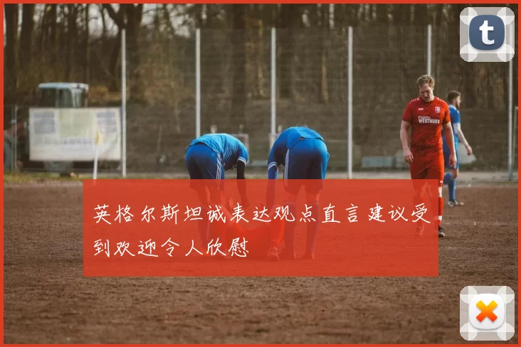 英格尔斯坦诚表达观点直言建议受到欢迎令人欣慰